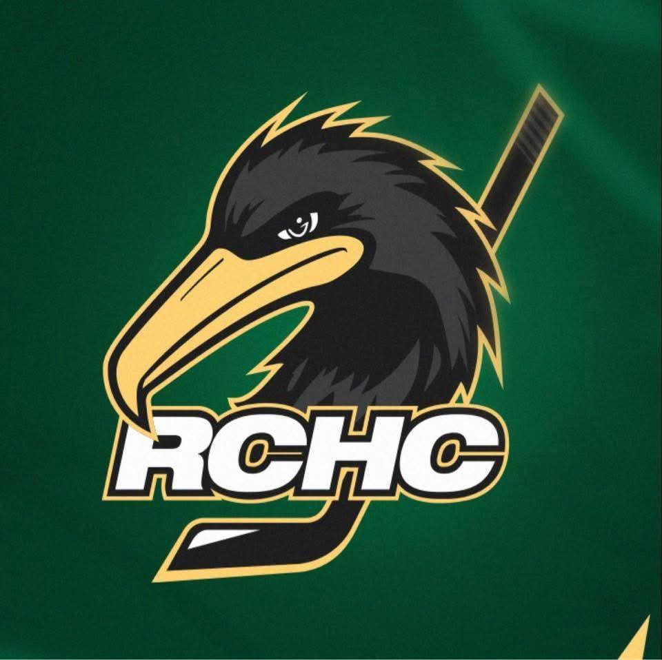 Le Rennes Cormorans Para&nbsp;Hockey